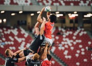 -上海海港队武磊