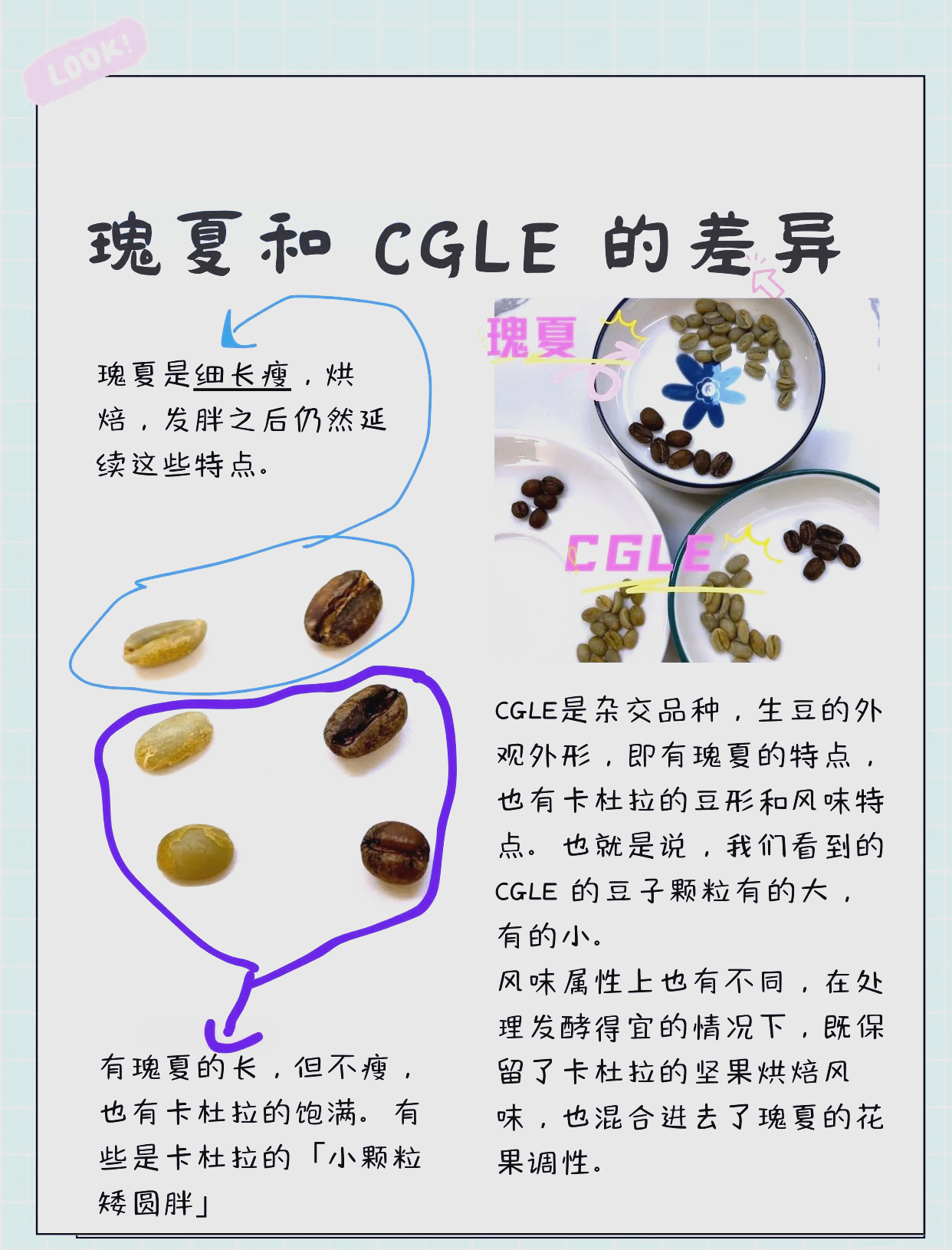 c与c的区别是什么 c 与c的区别与联系 
