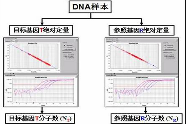 拷贝和复制区别 拷贝和复制粘贴有什么区别 