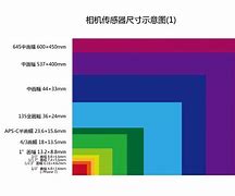 shbashksh区别 shr和basic的区别 