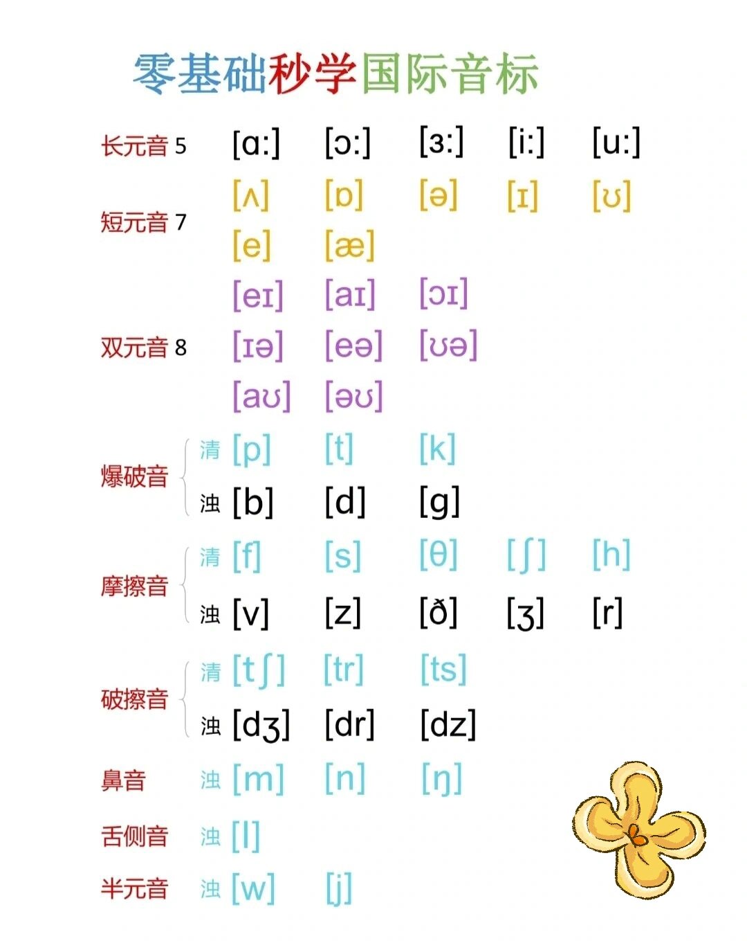 清音和浊音的区别 听诊清音和浊音的区别 