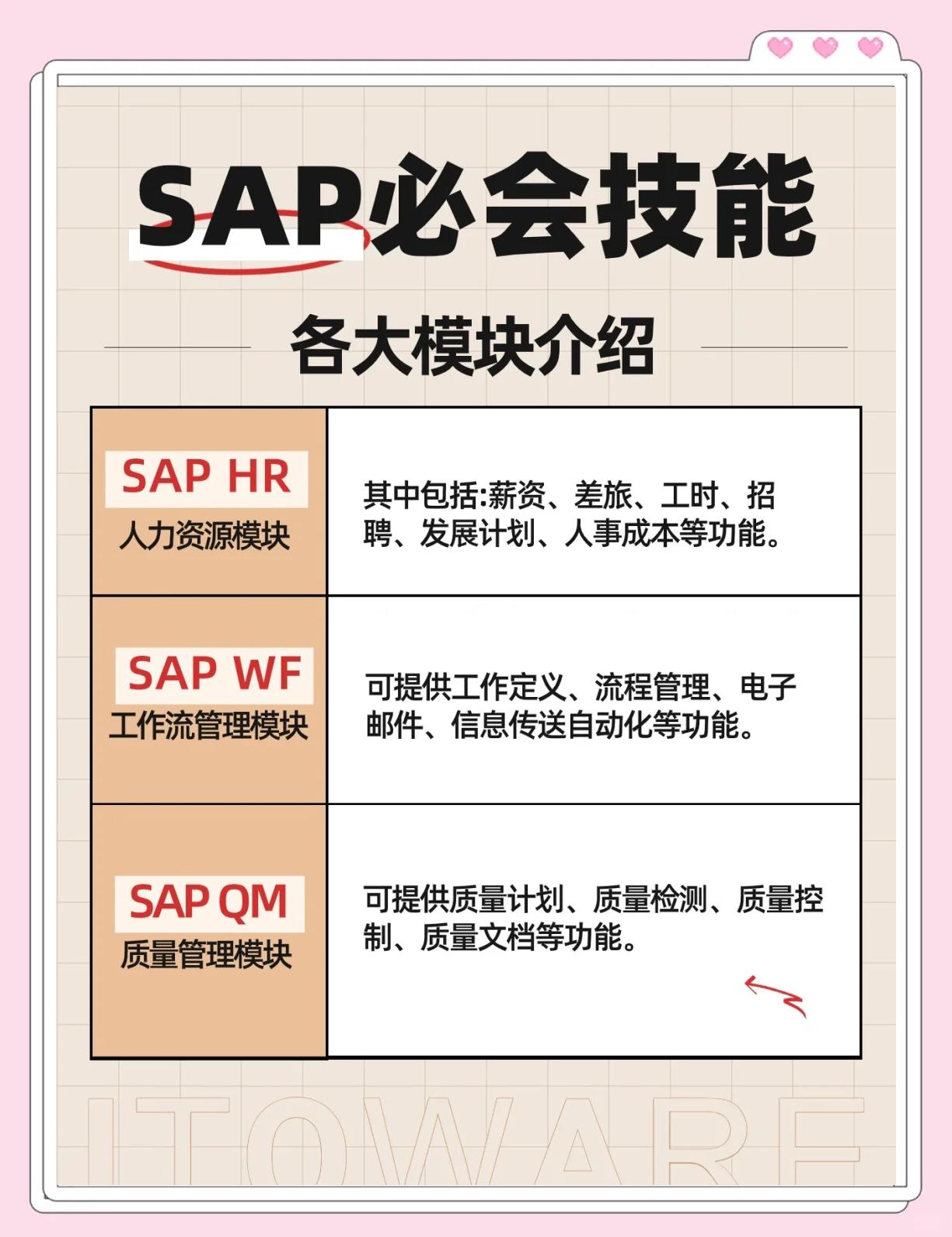 sapalv区别 sap和navision的区别 