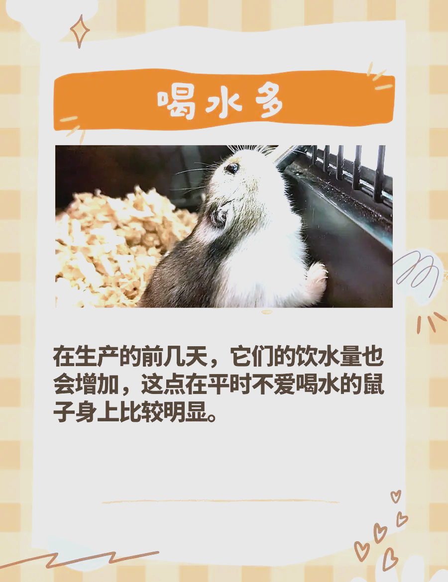 是事区别 事和事情意思一样吗 