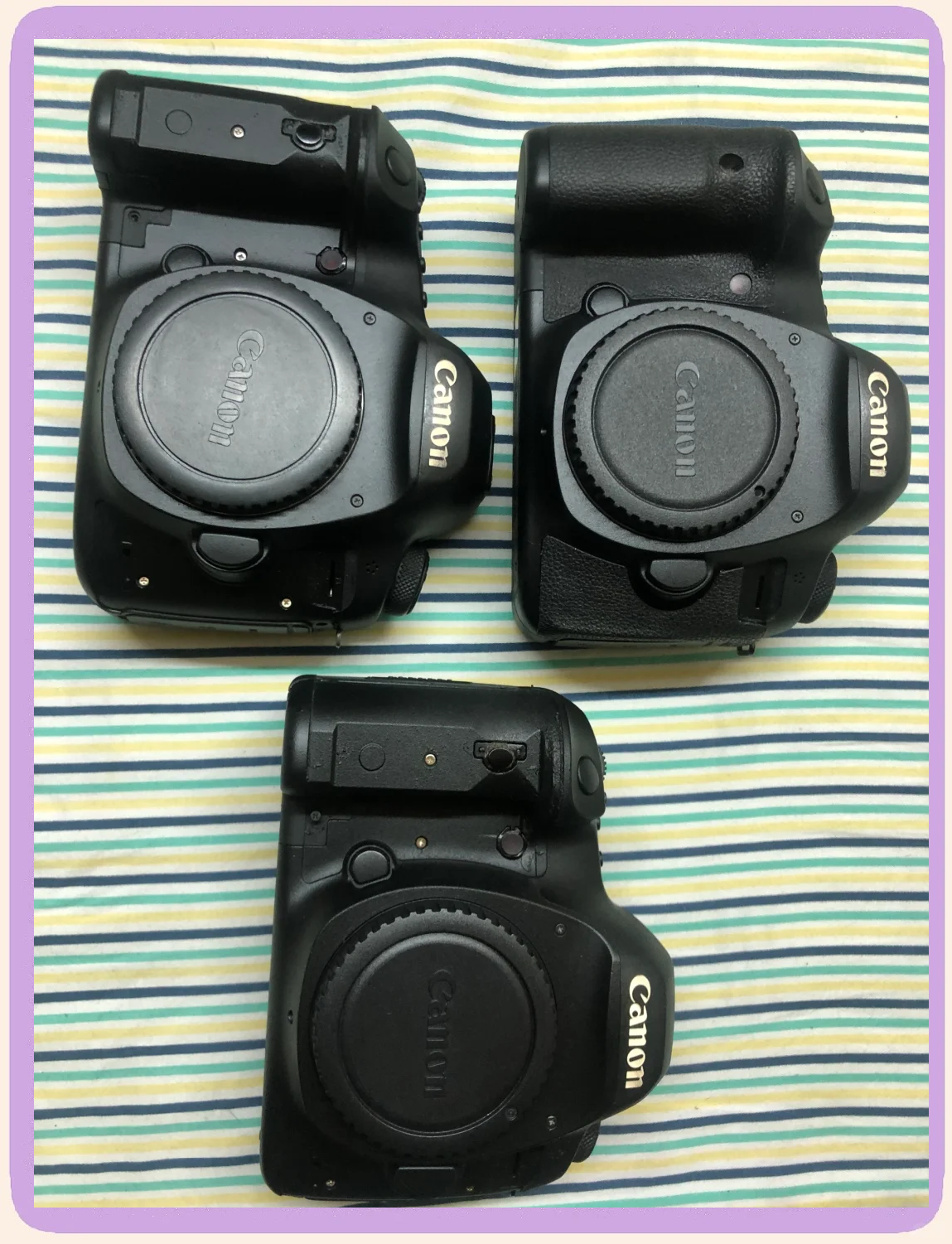 佳能5ds和5dsr区别 佳能5ds和5dsr有什么区别 