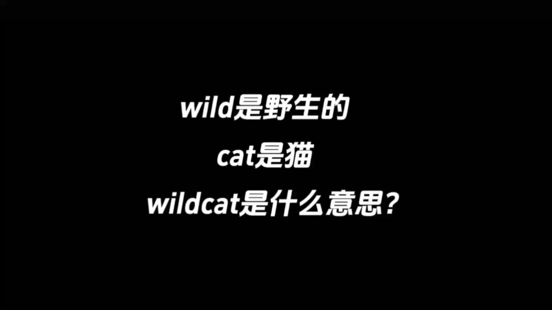 包含wildflytomcat区别的词条