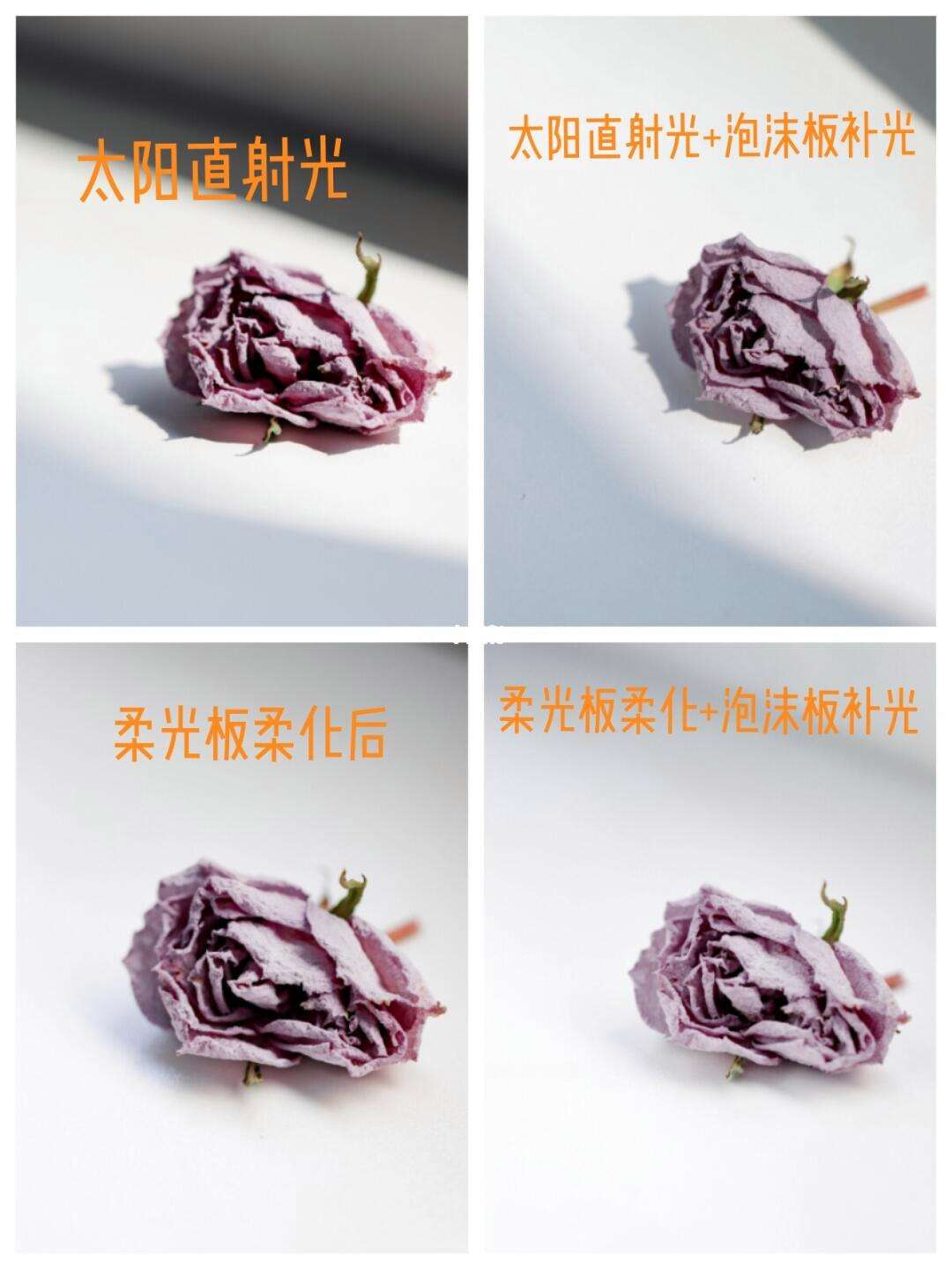 硬光和柔光的区别 硬光和柔光的区别是什么 
