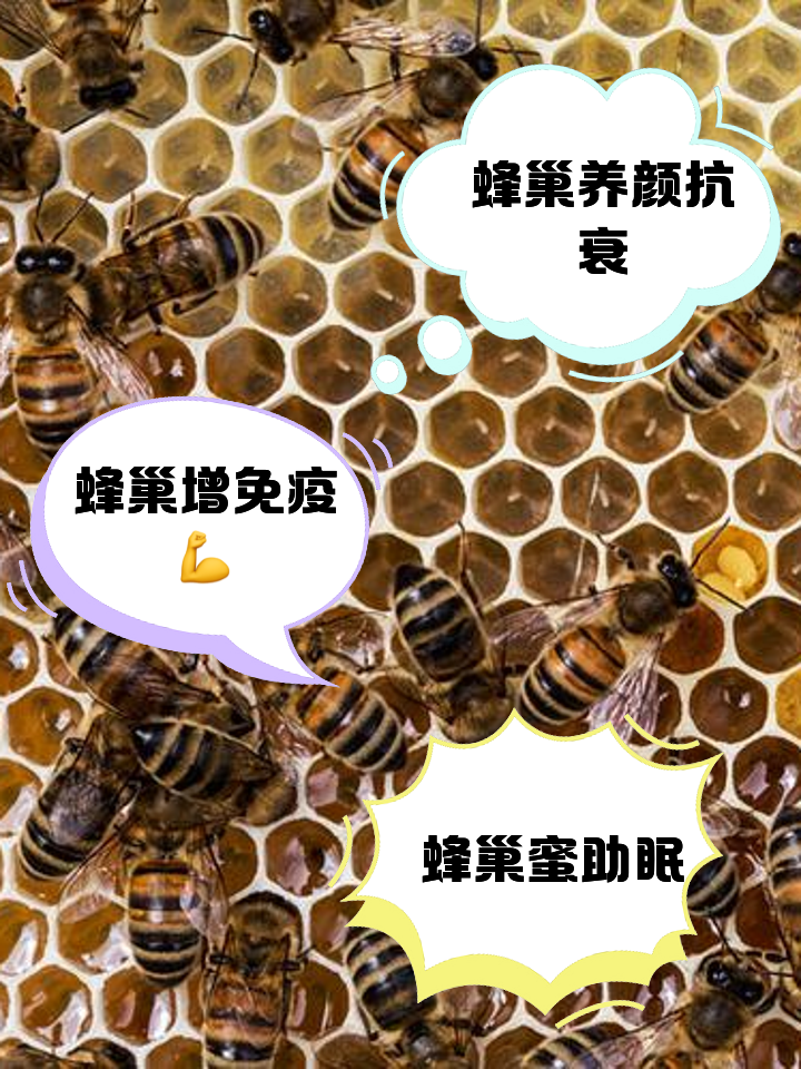 摄影蜂巢区别 影棚蜂巢的作用 