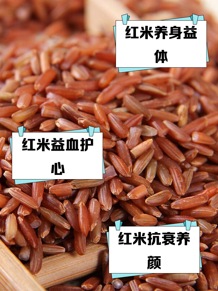 红米与大米的区别 红米与大米的区别图片 