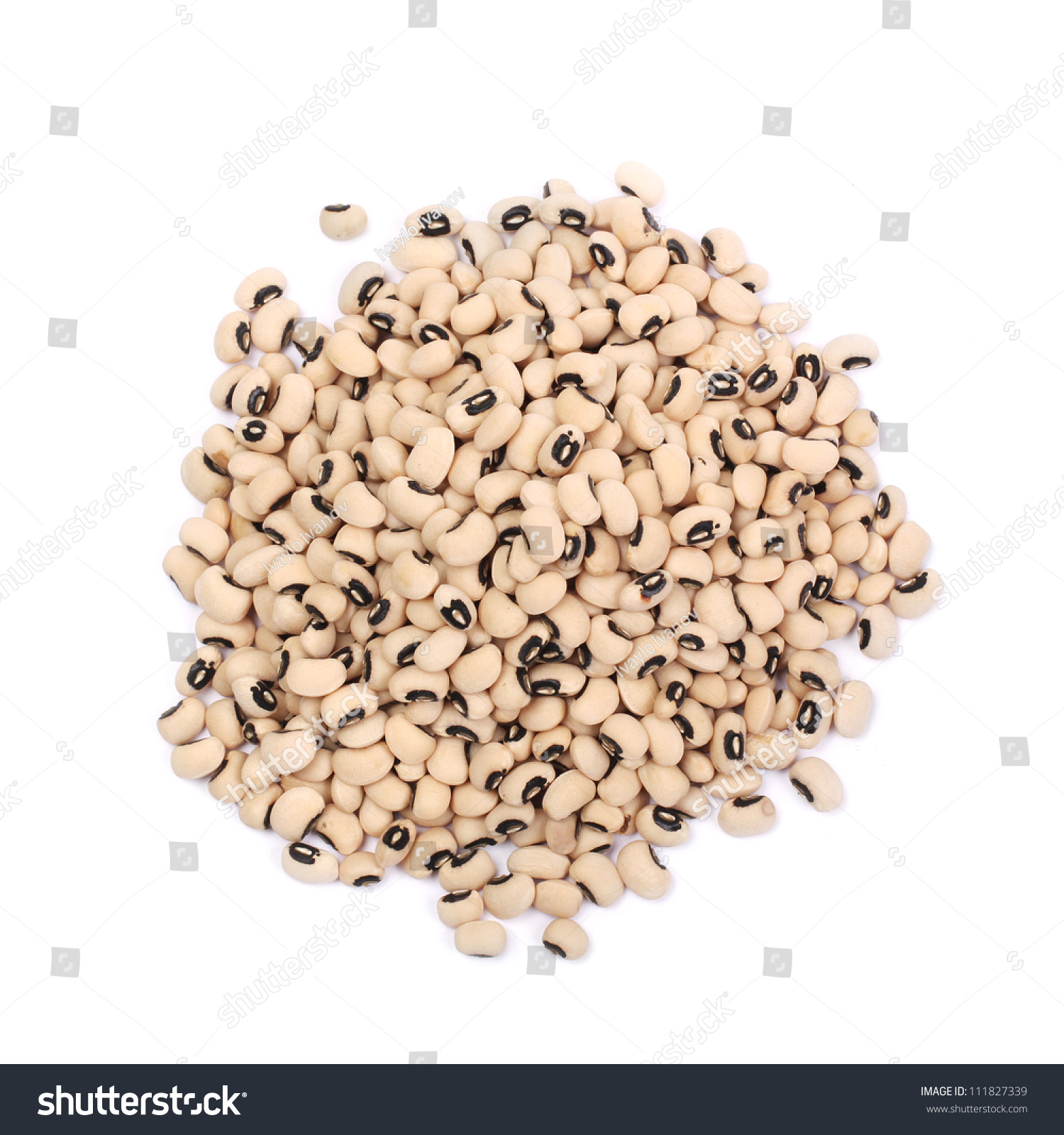 beans和peas的区别 beans和green beans的区别 