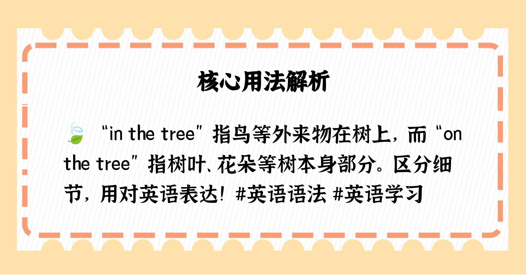 in和on在树上的区别 on跟in的区别长在树上的意思 
