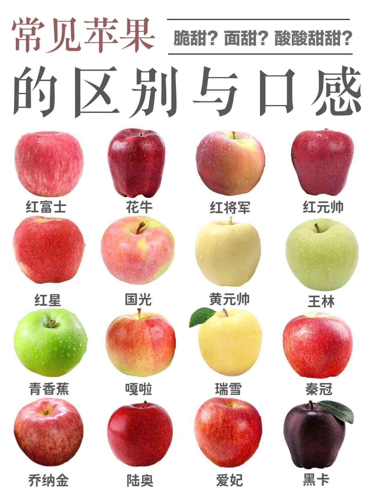 甄别和鉴别的区别 甄别和鉴别的区别是什么? 