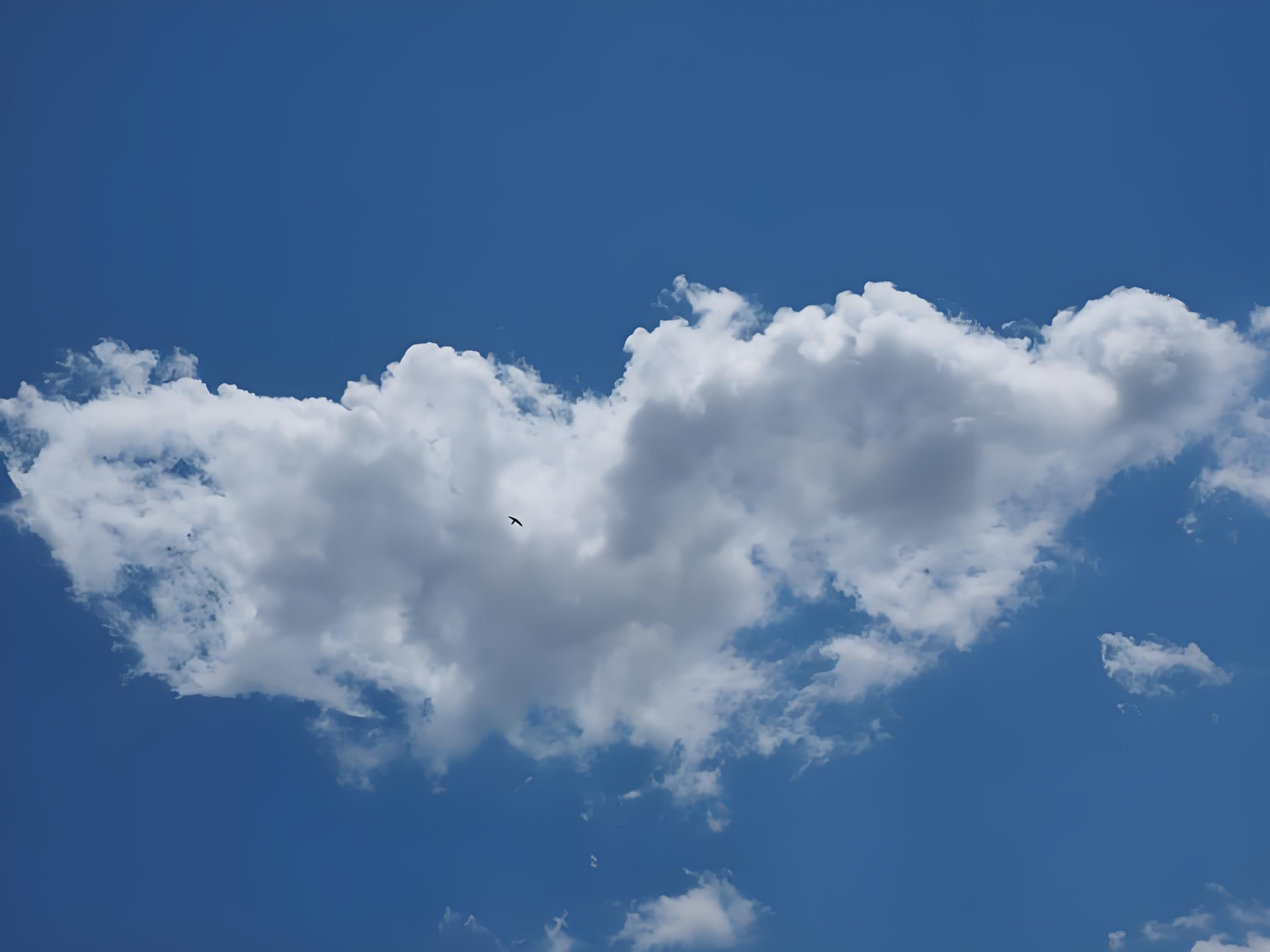 雲和云区别 云和app的区别 