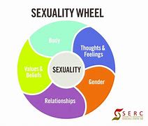 Sex和sexuality的区别 gender and sex的区别 
