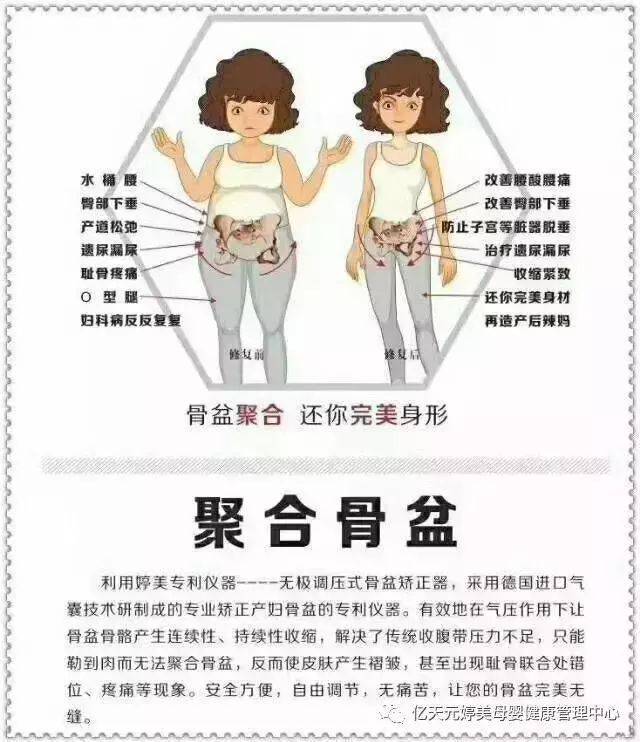 pengu跟penguin区别的简单介绍