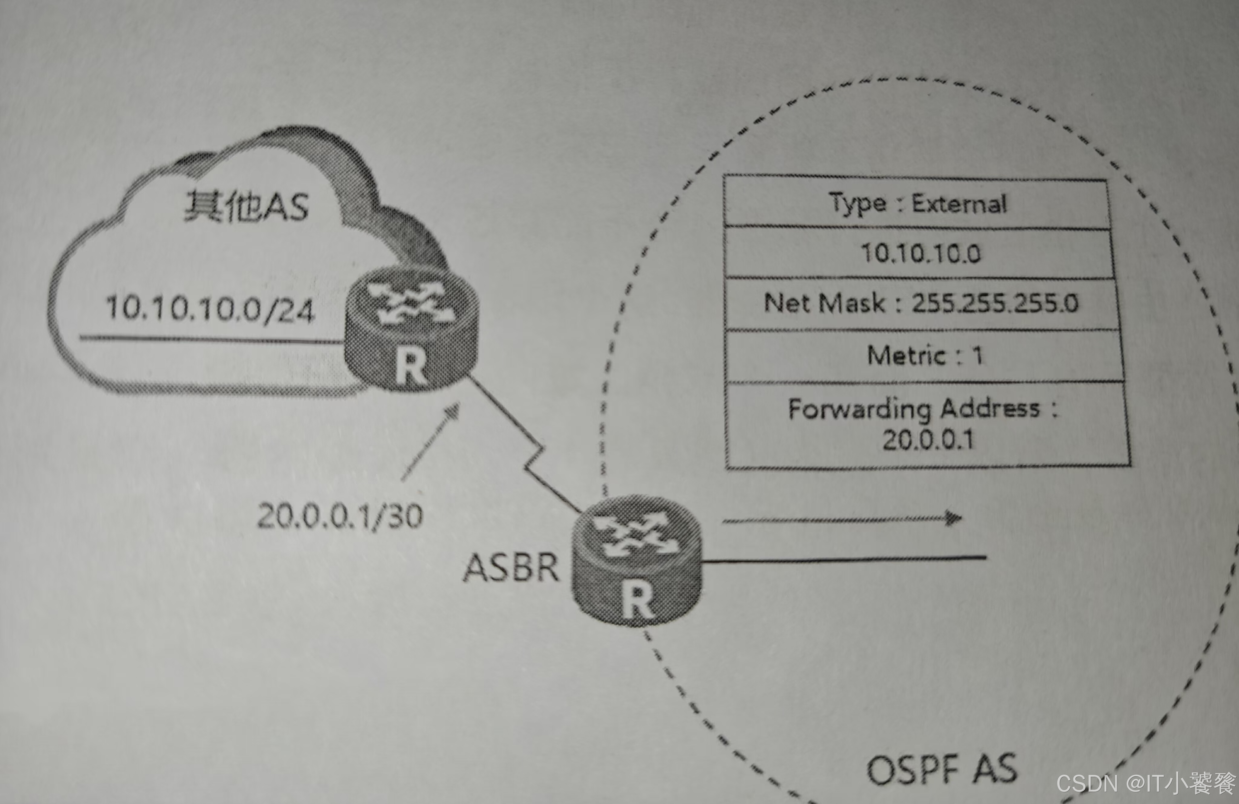 ospf和stp区别 ospf与ospfv3 