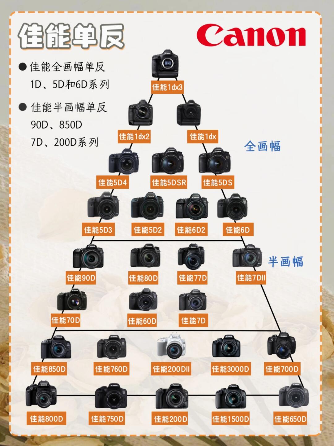 佳能500d和550d区别 佳能500d和550d的区别在哪里 