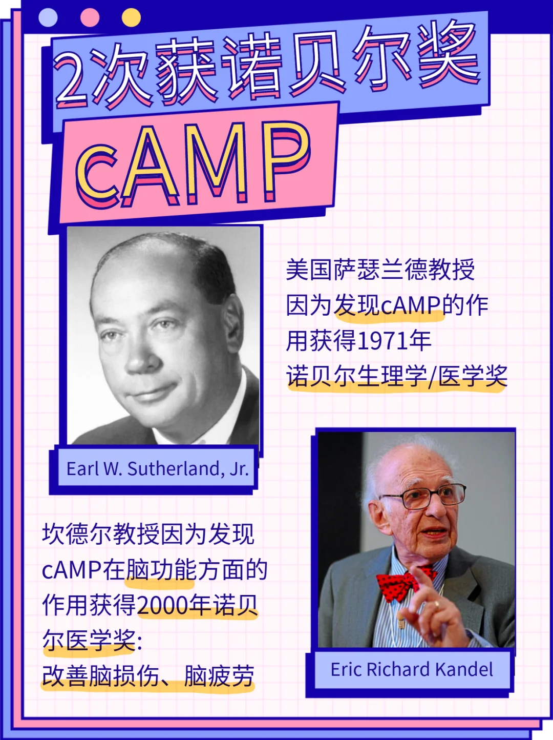 camp和amp区别 camp 和campsite 