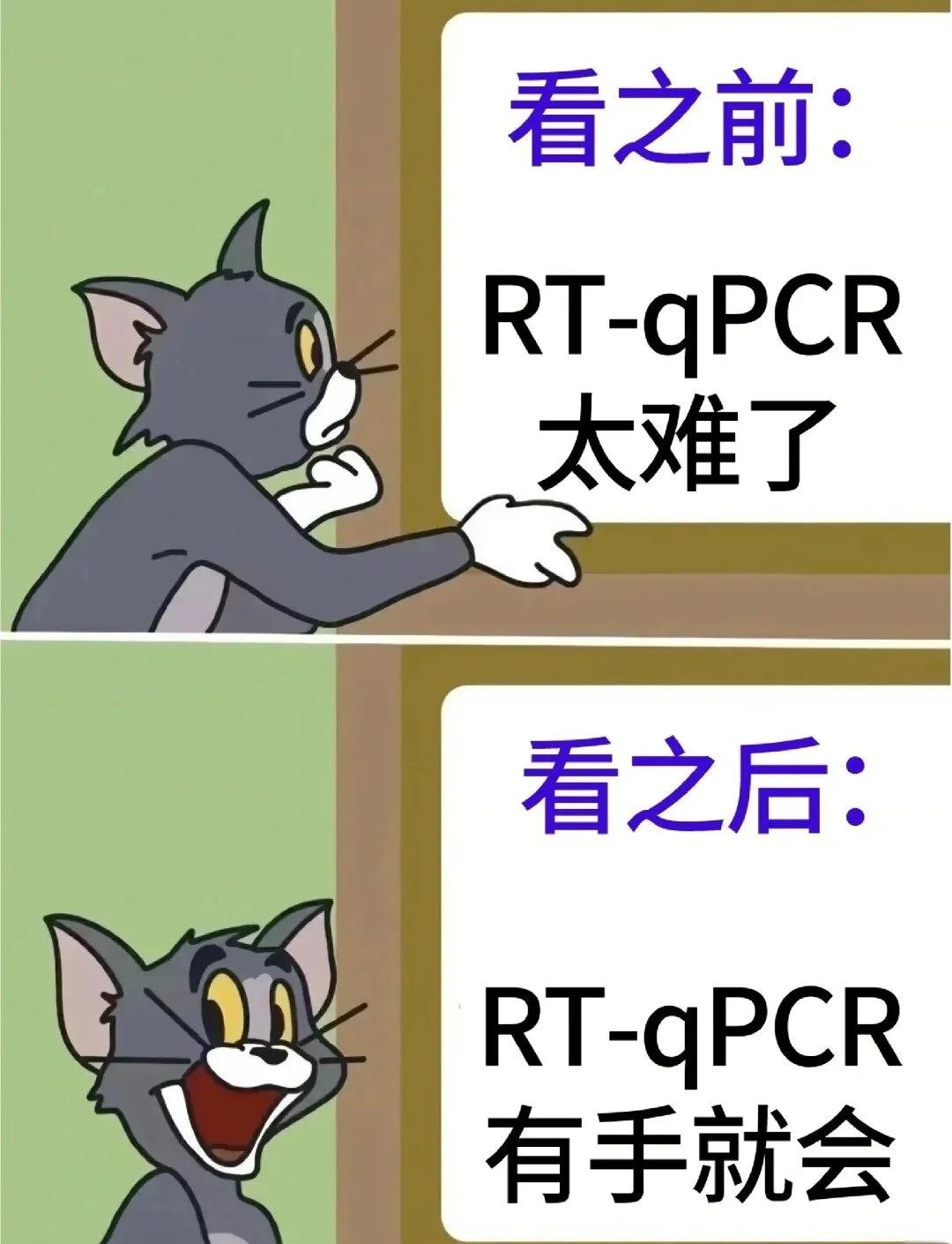 rtosucos区别 rtos和wearos 