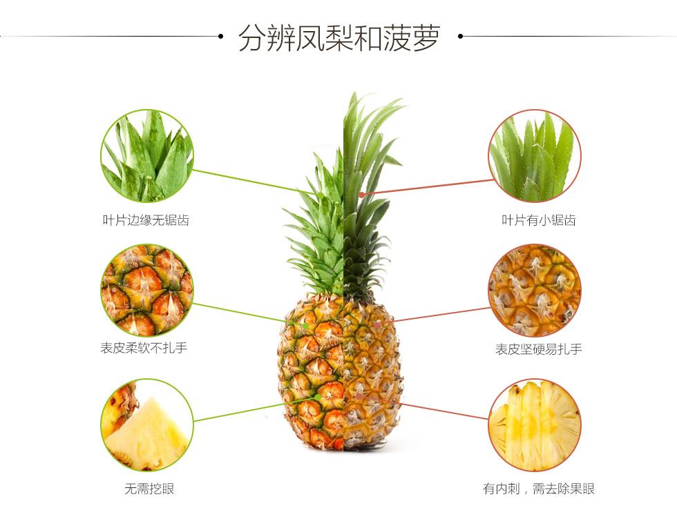cpp.hpp区别 c++中cpp与h的区别 