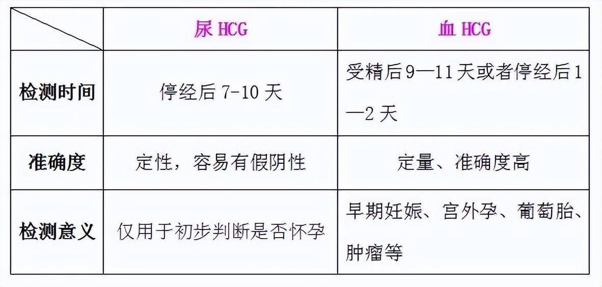 rhcg和hcg的区别 β hcg和hcg的区别 