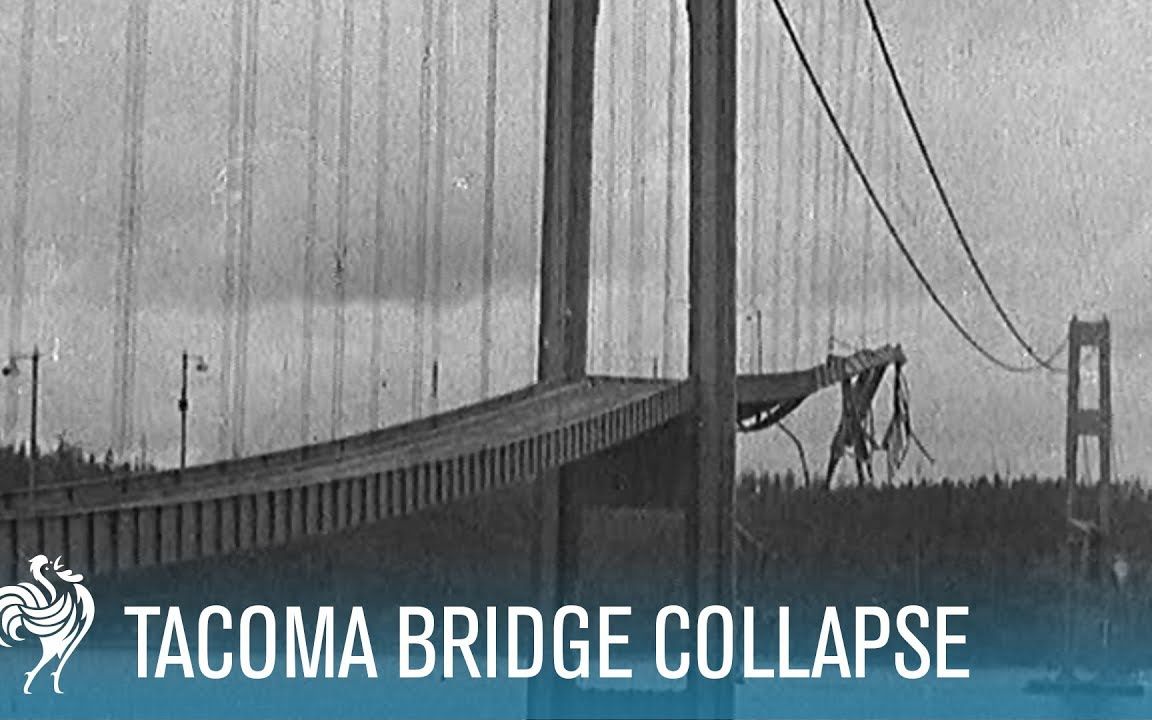 collapse区别 collapse用法和搭配 