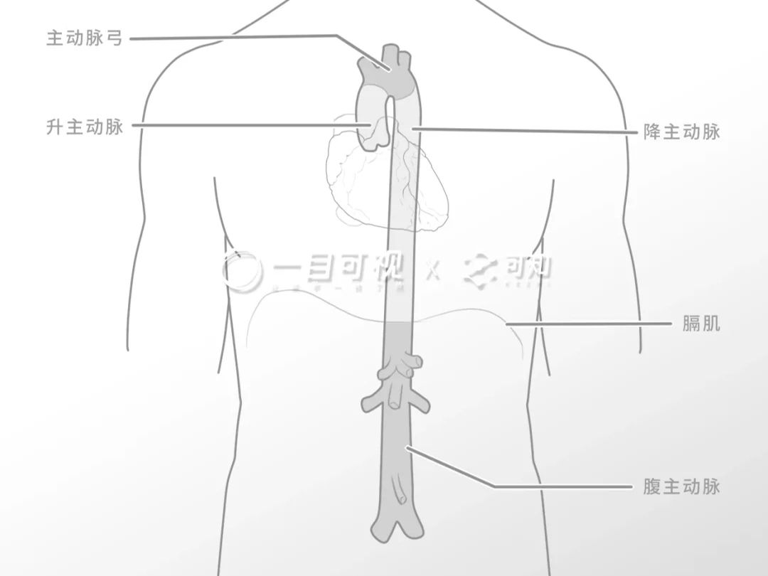 区隔和区别 什么是区隔市场 