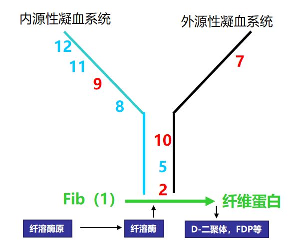 pnt与pt区别 pt与npt的区别 