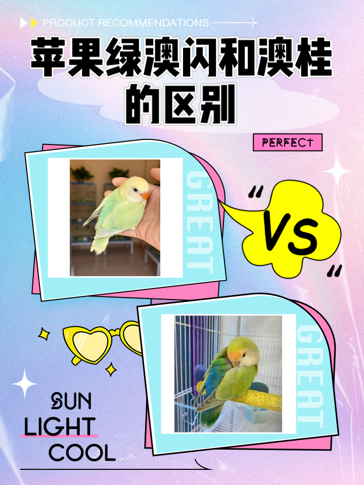 苹果澳版区别 苹果澳版的怎么样 